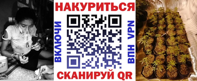 Бошки марихуана индика  Истра 